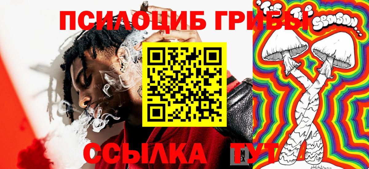 Галлюциногенные грибы Psilocybe  Вход с VPN  Ступино 