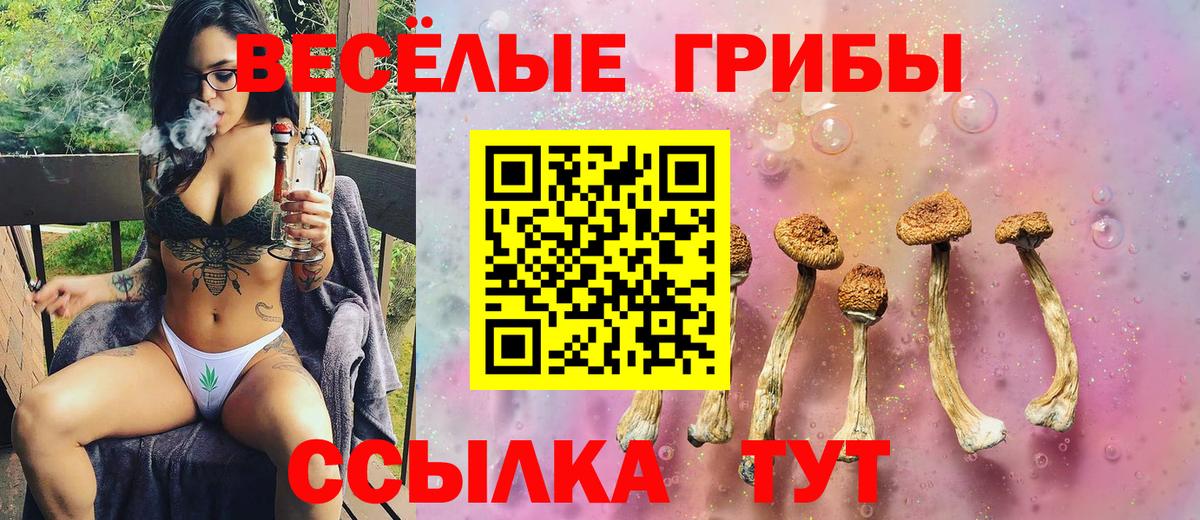 Галлюциногенные грибы MAGIC MUSHROOMS Ступино